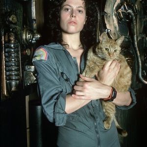 Meet your Posher, El